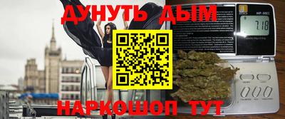 гидра Заводоуковск