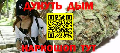 гидра Заводоуковск