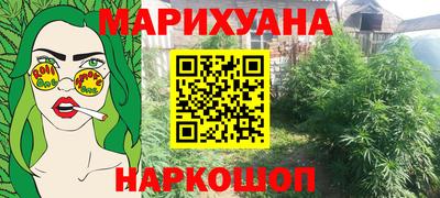 гидра Заводоуковск