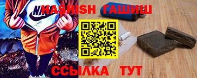 гидра Заводоуковск