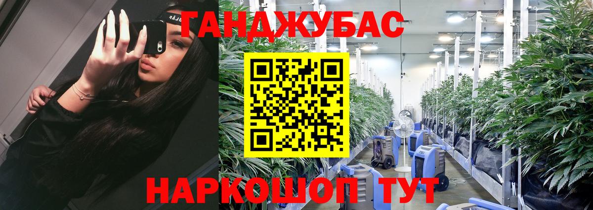 Бошки Шишки сатива  Каннабис сатива  Канабис VHQ  Миасс  Вход с VPN 